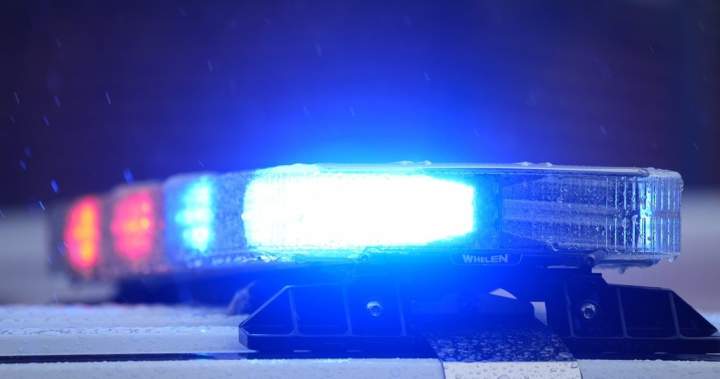Winnipeg man charged with extortion after keeping missing cat