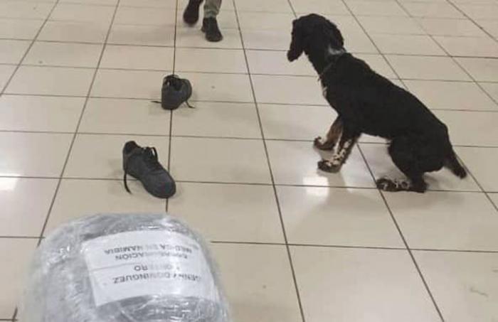 Aduana cubana detecta cocaína oculta en calzado de pasajero extranjero
