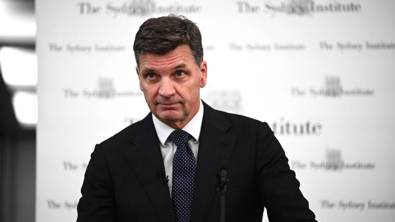 Angus Taylor's Focus on One Nation and Questions Over Pauline Hanson's European Trip Funding