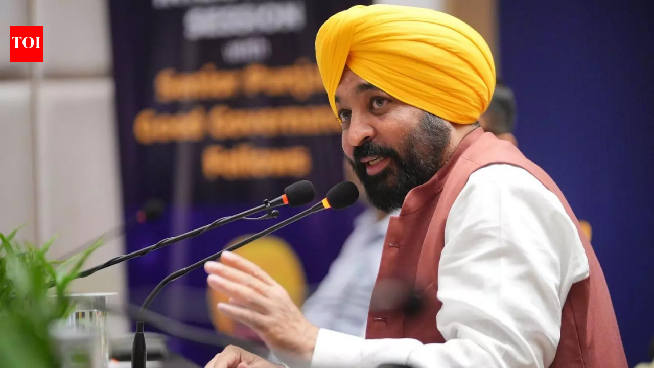 Punjab Farmers Demand Better Crop Price Support