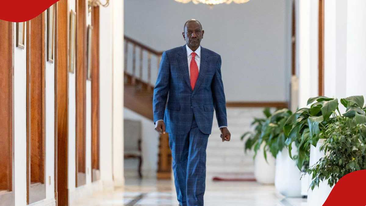 President William Ruto's Pledges for Pregnant Women and Children Spark Mixed Reactions