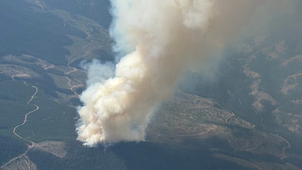 Wildfires in British Columbia Prompt Evacuation Orders and Alerts in Squamish-Lillooet Region