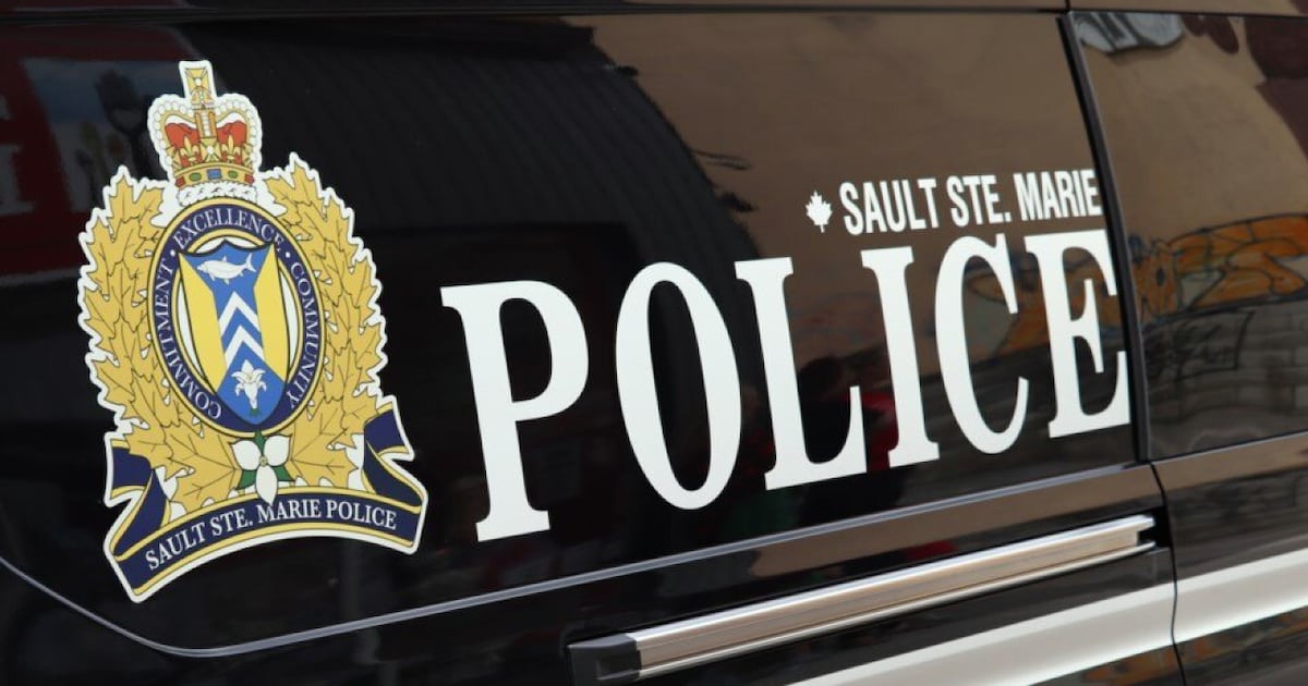 Sault Man Arrested Twice in 12 Hours for Same Victim