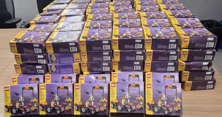Ontario Business Recovers 200 Boxes of Lego After Theft