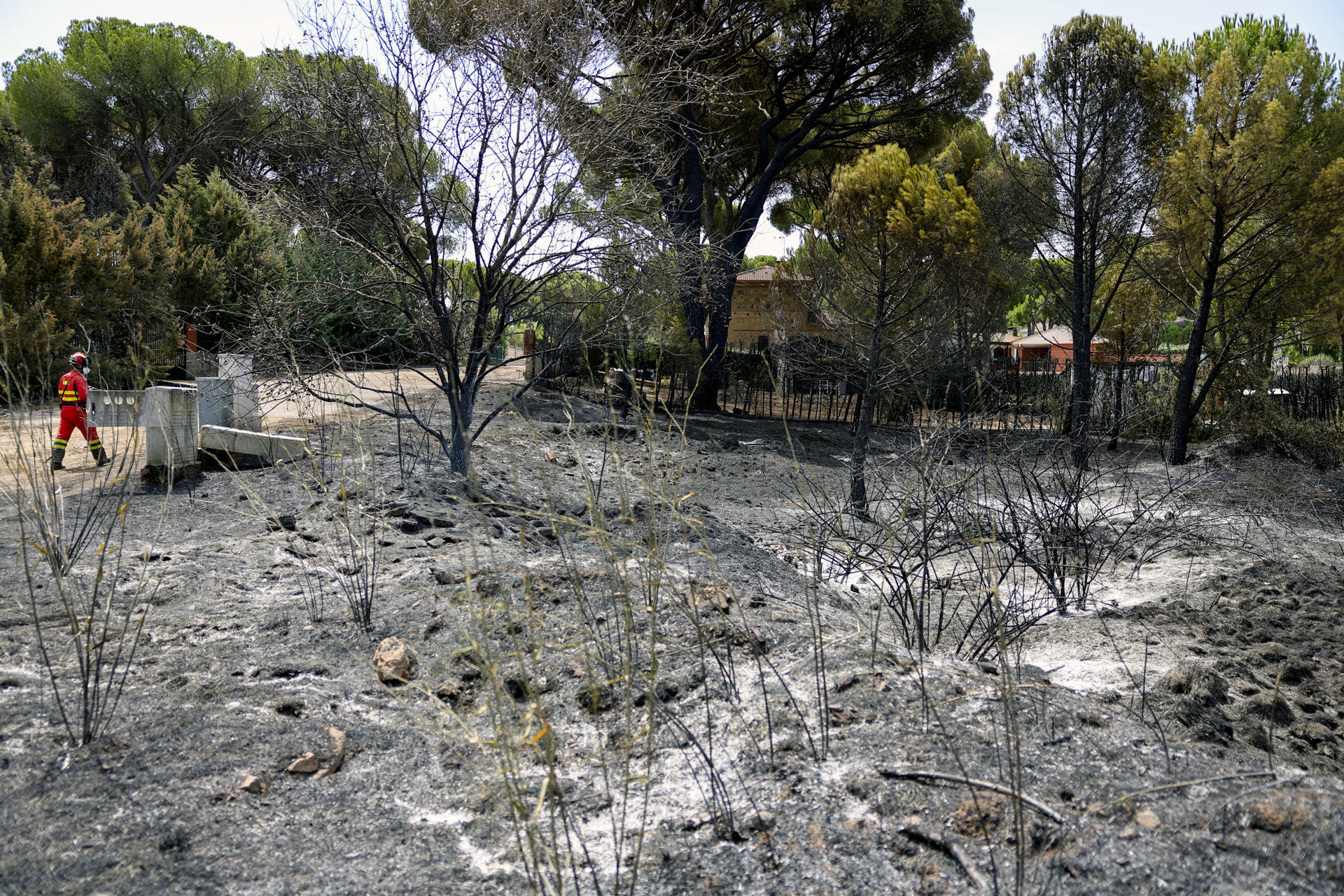 Incendios Forestales en España Llevan a Más de 115,000 Evacuaciones