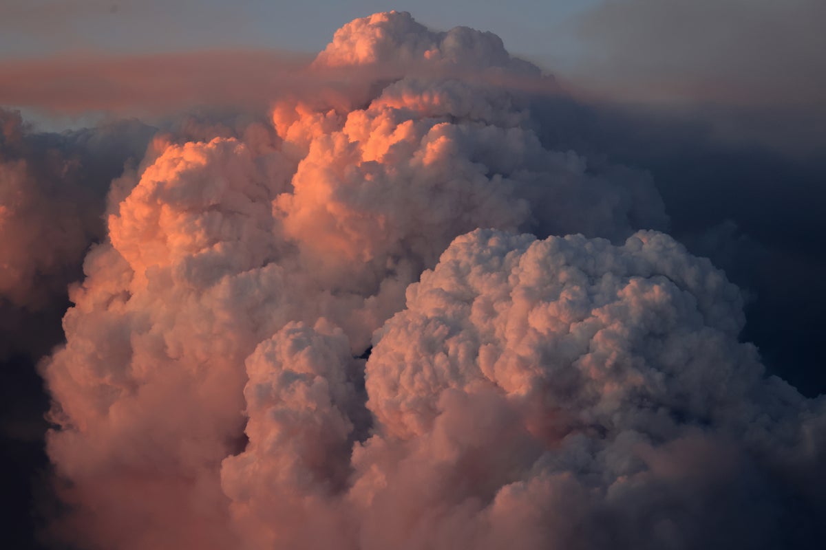 Understanding pyrocumulonimbus clouds and their role in wildfire dynamics