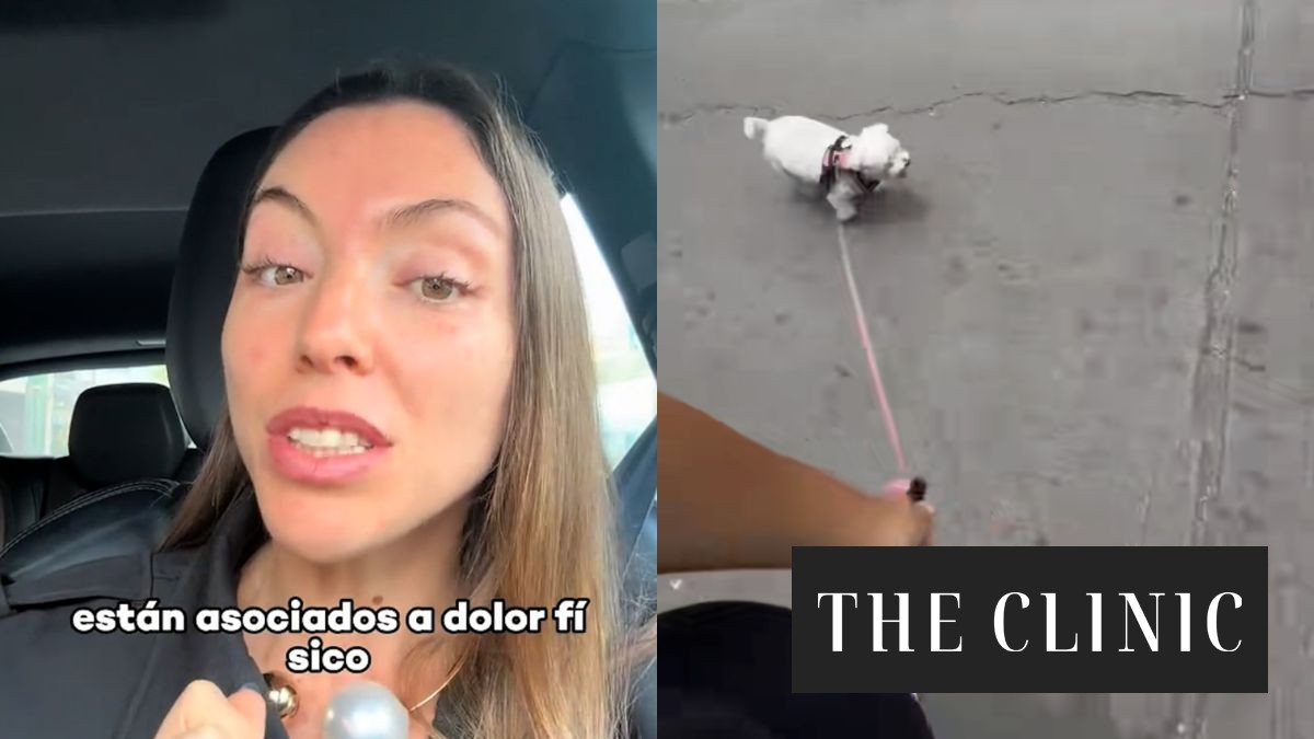 Veterinaria advierte sobre riesgos del running con perros