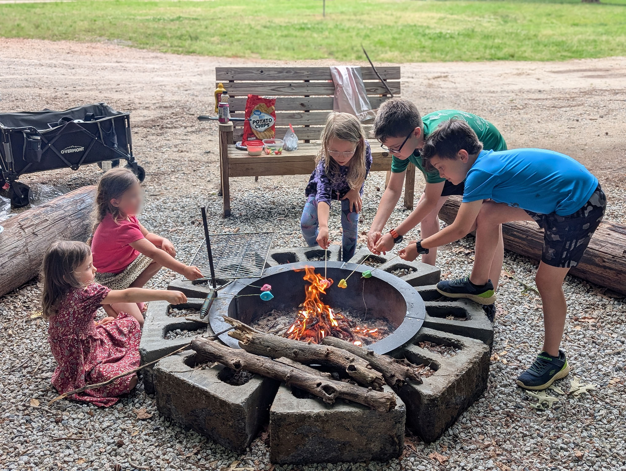 Kids roasting marshmallows