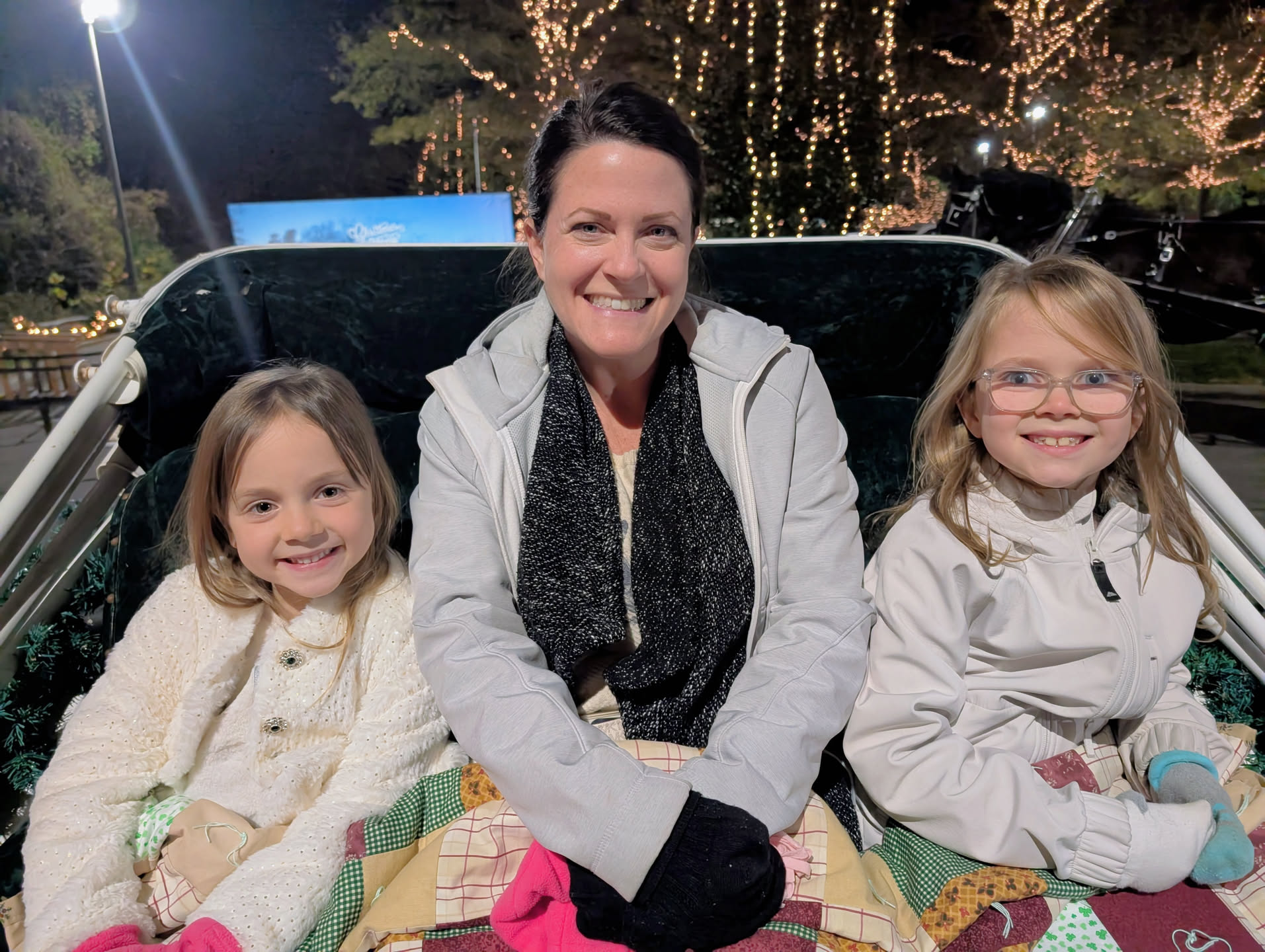 carriage ride