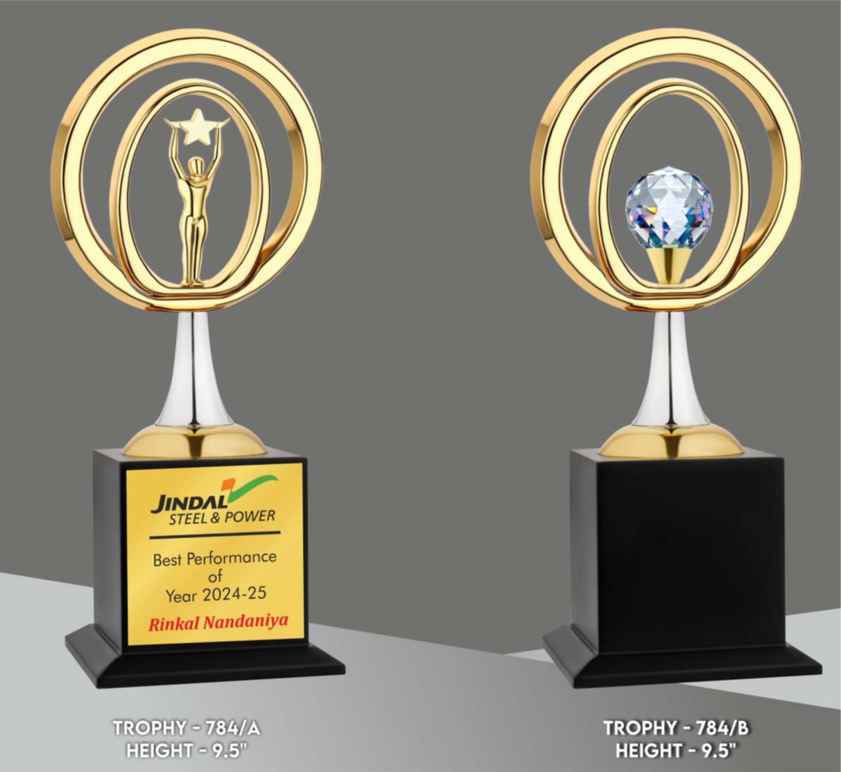 Premium Metal Trophy Code: 784