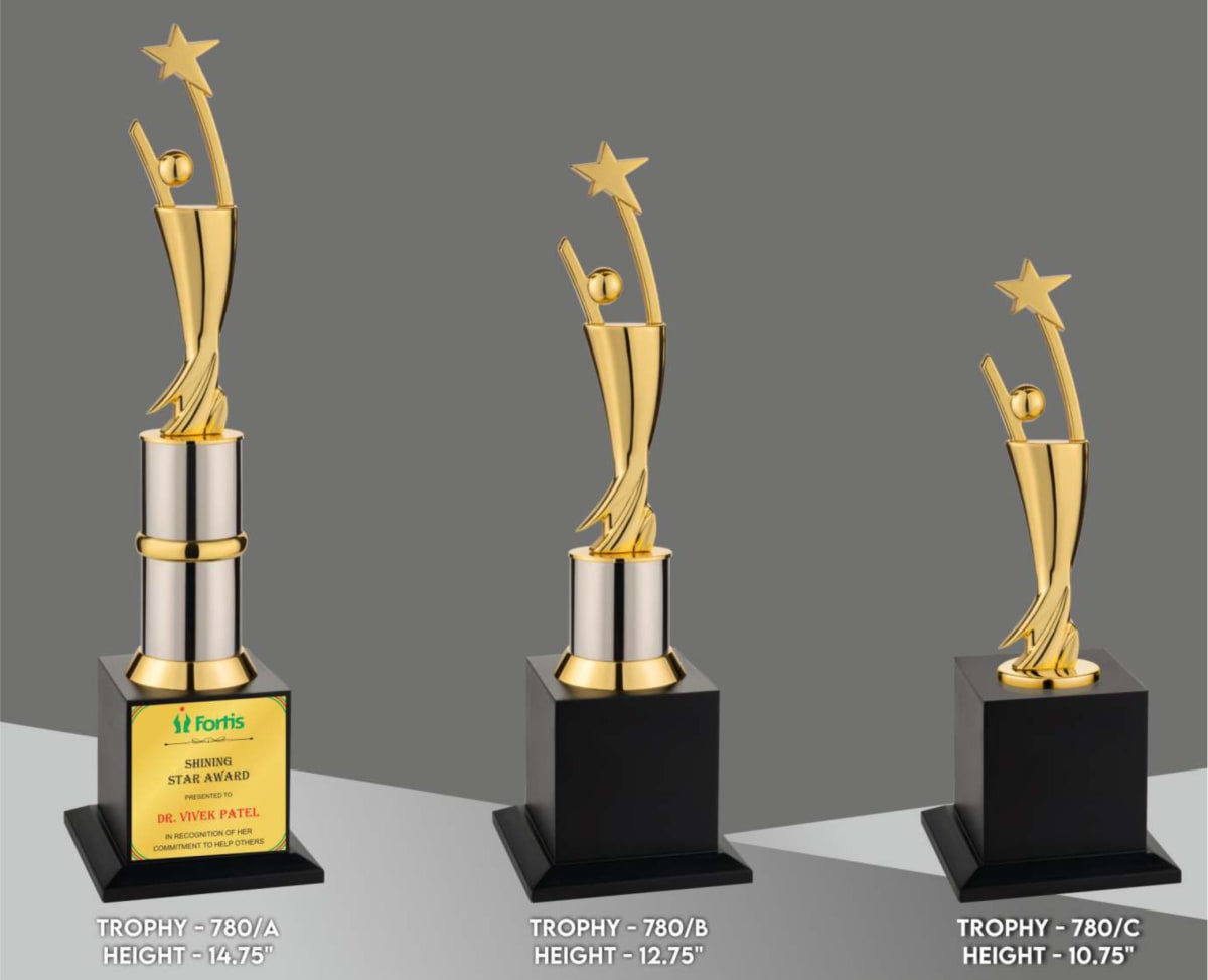 Premium trophy code : 780