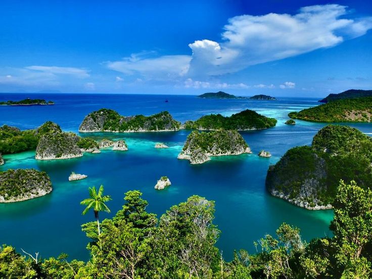 Raja Ampat
