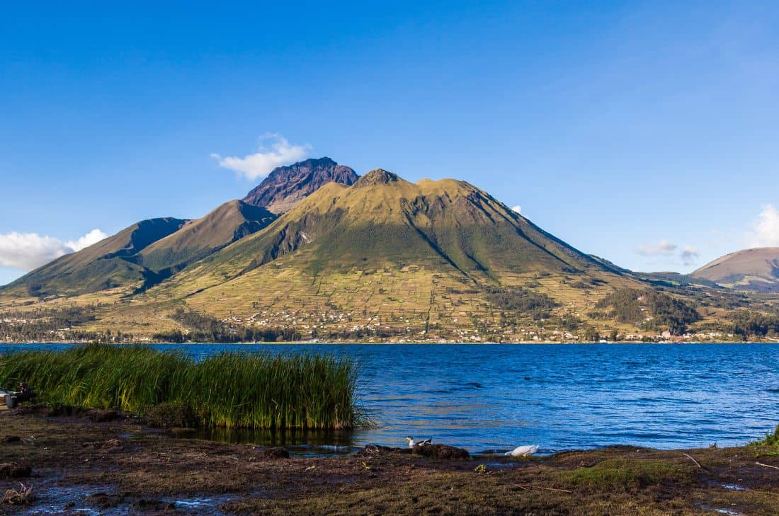 tourhub | Travel Department | Discover Ecuador & The Galapagos Islands - Unique Small Group 