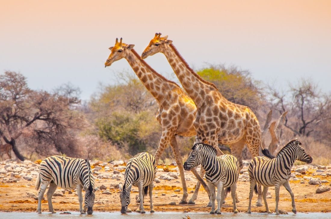 tourhub | Travel Department | Highlights of Namibia - Unique Small Group 