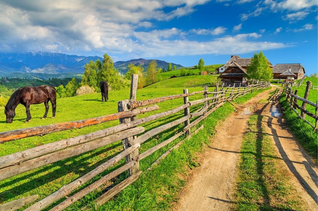 tourhub | TD Active Holidays | Transylvania Walking Holiday 