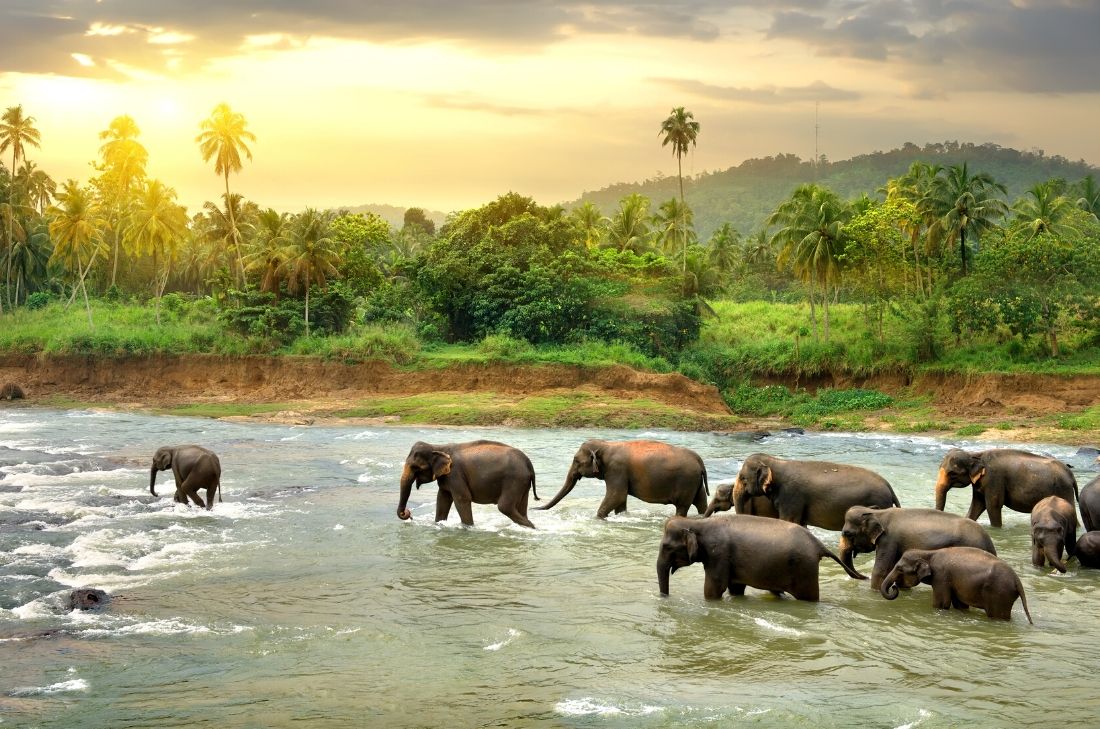 tourhub | TD Active Holidays | Explore Sri Lanka 