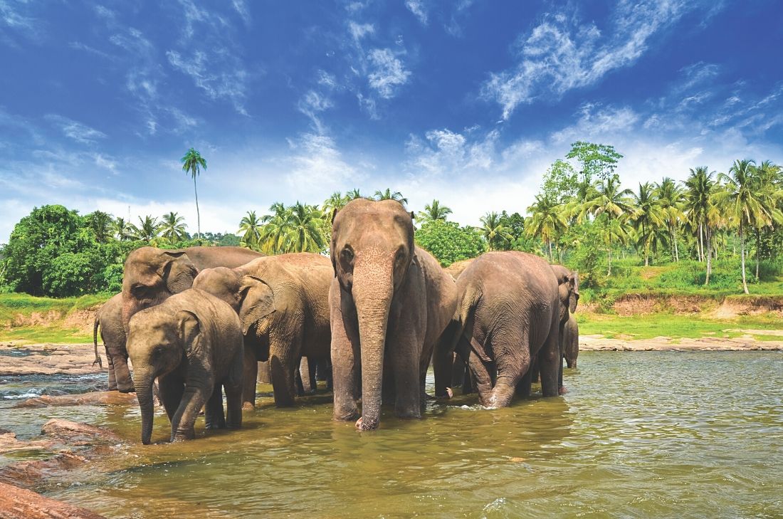 tourhub | Travel Department | Discover Sri Lanka 