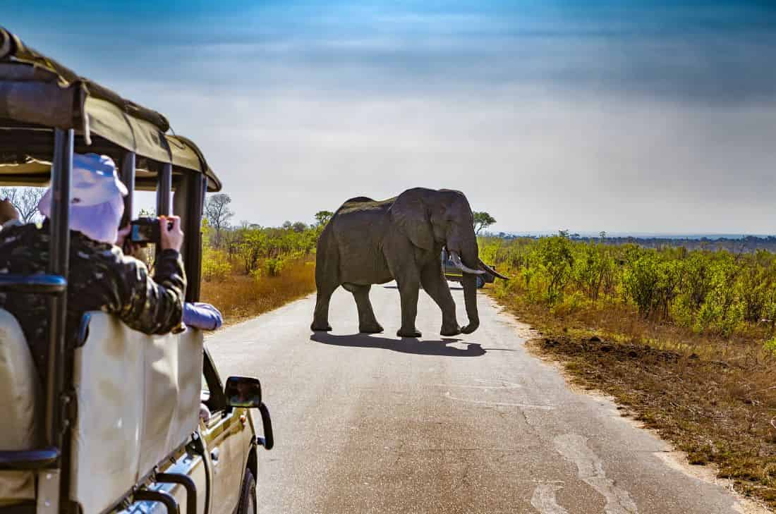 tourhub | Travel Department | Explore South Africa including Kruger National Park 