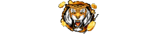 tigerkoin