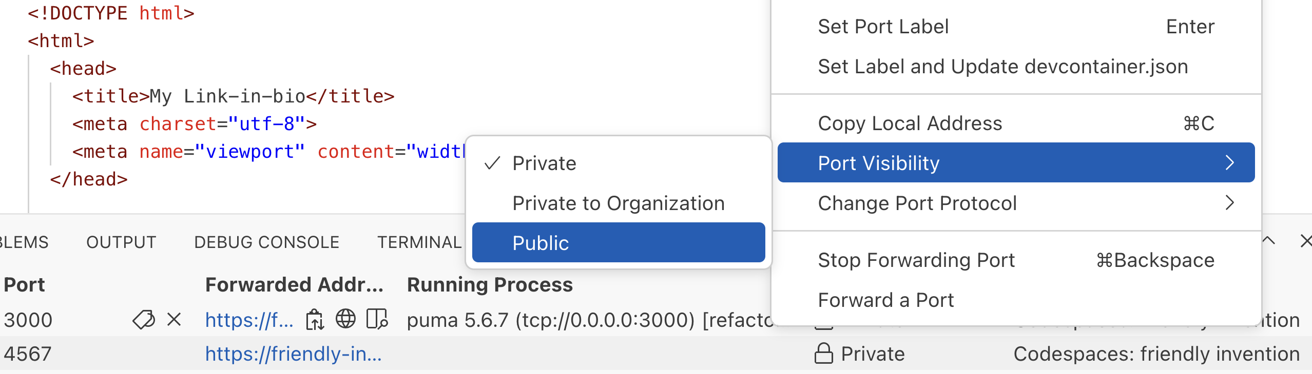 Public port forwarding