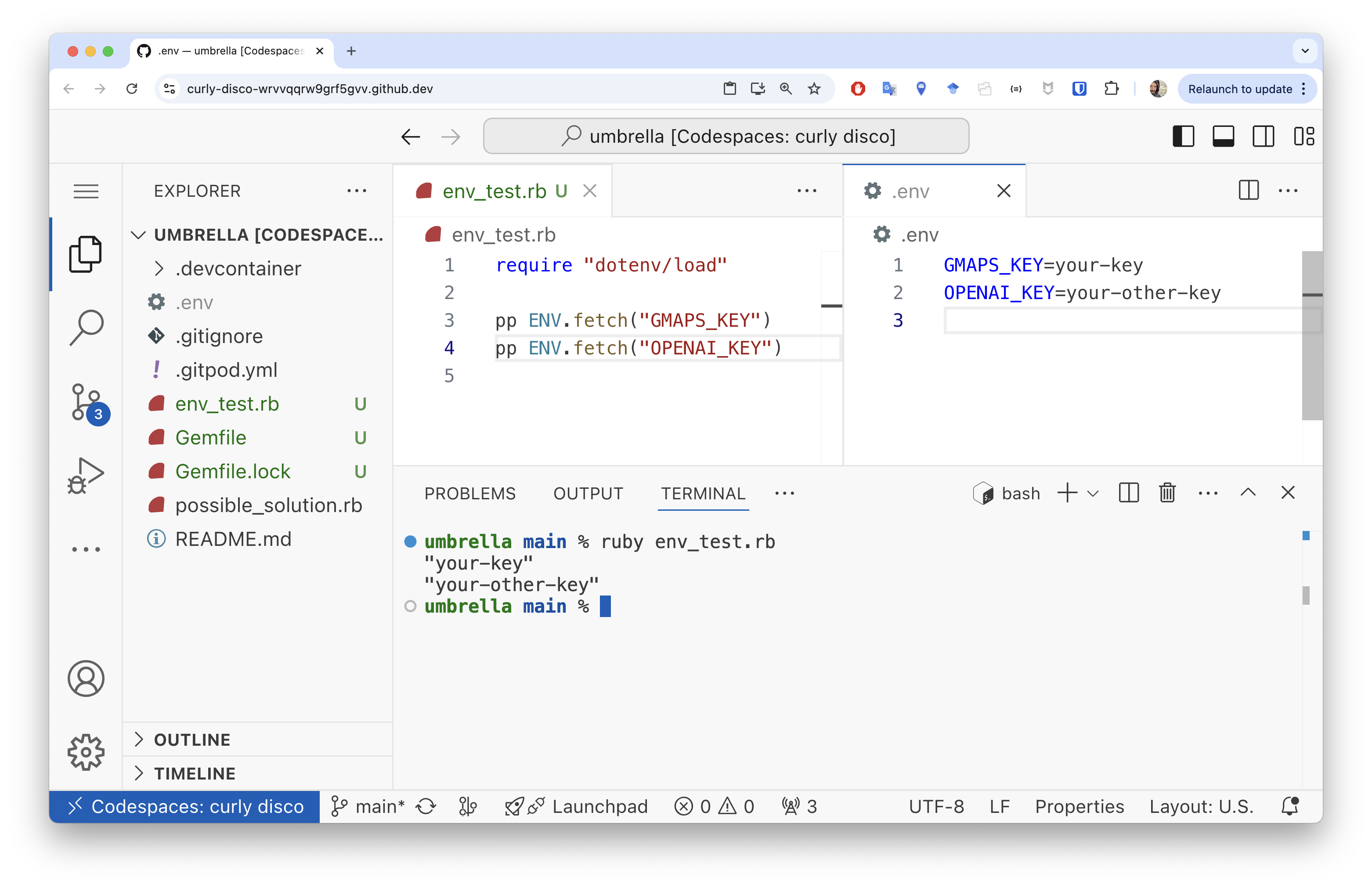 Environment variables printed to the terminal