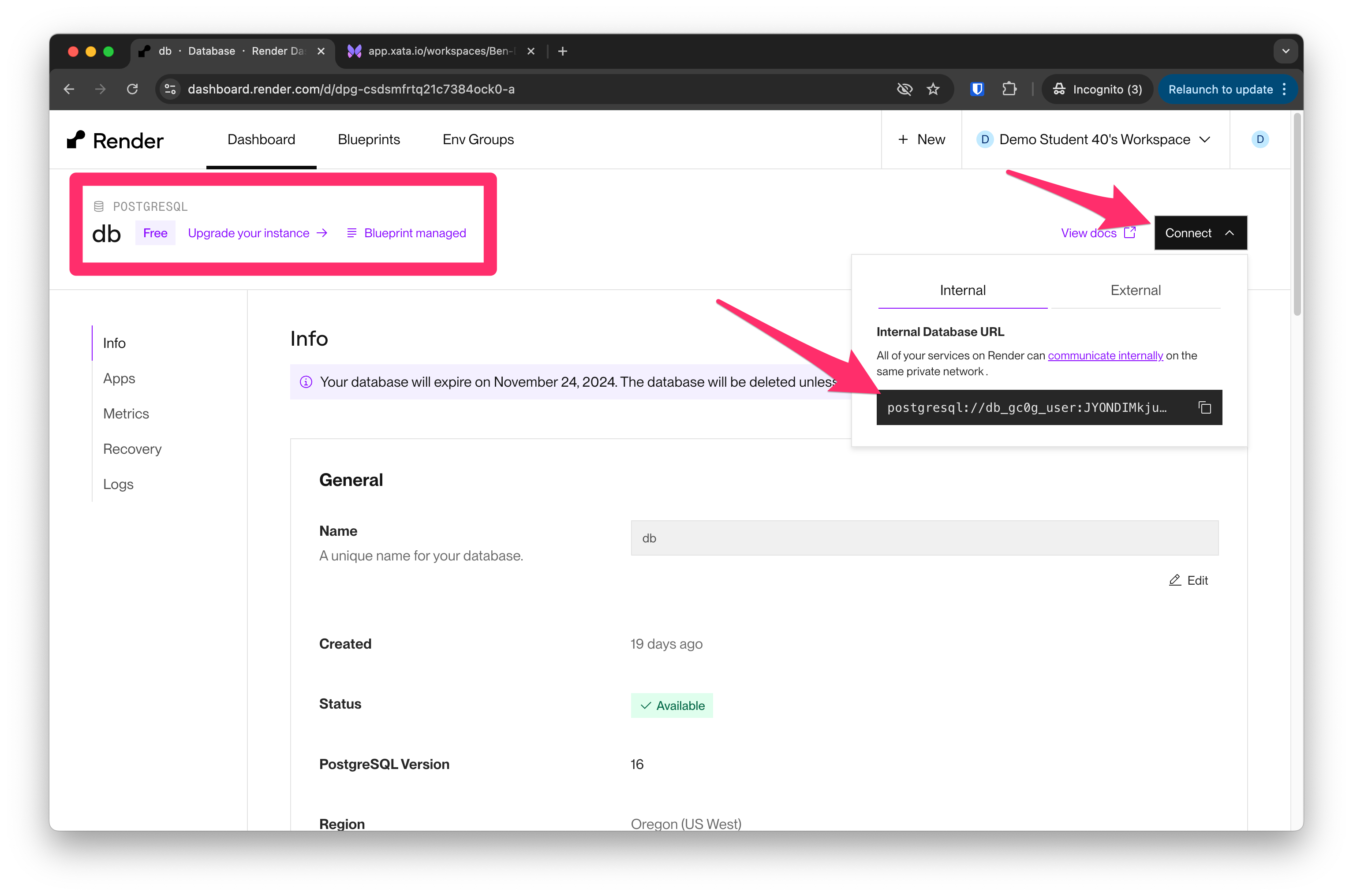 Render Dashboard database