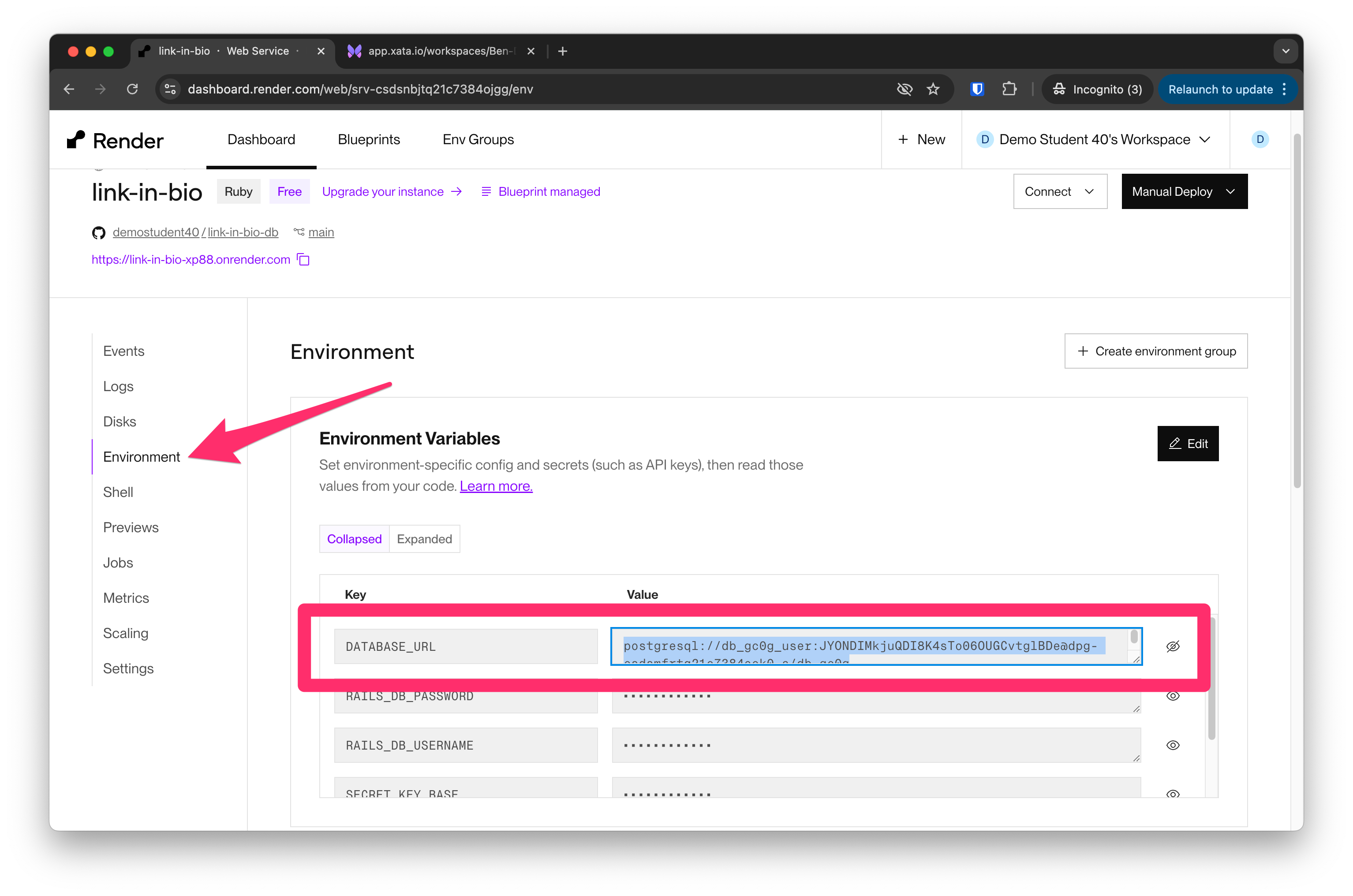 Render Dashboard web service database URL