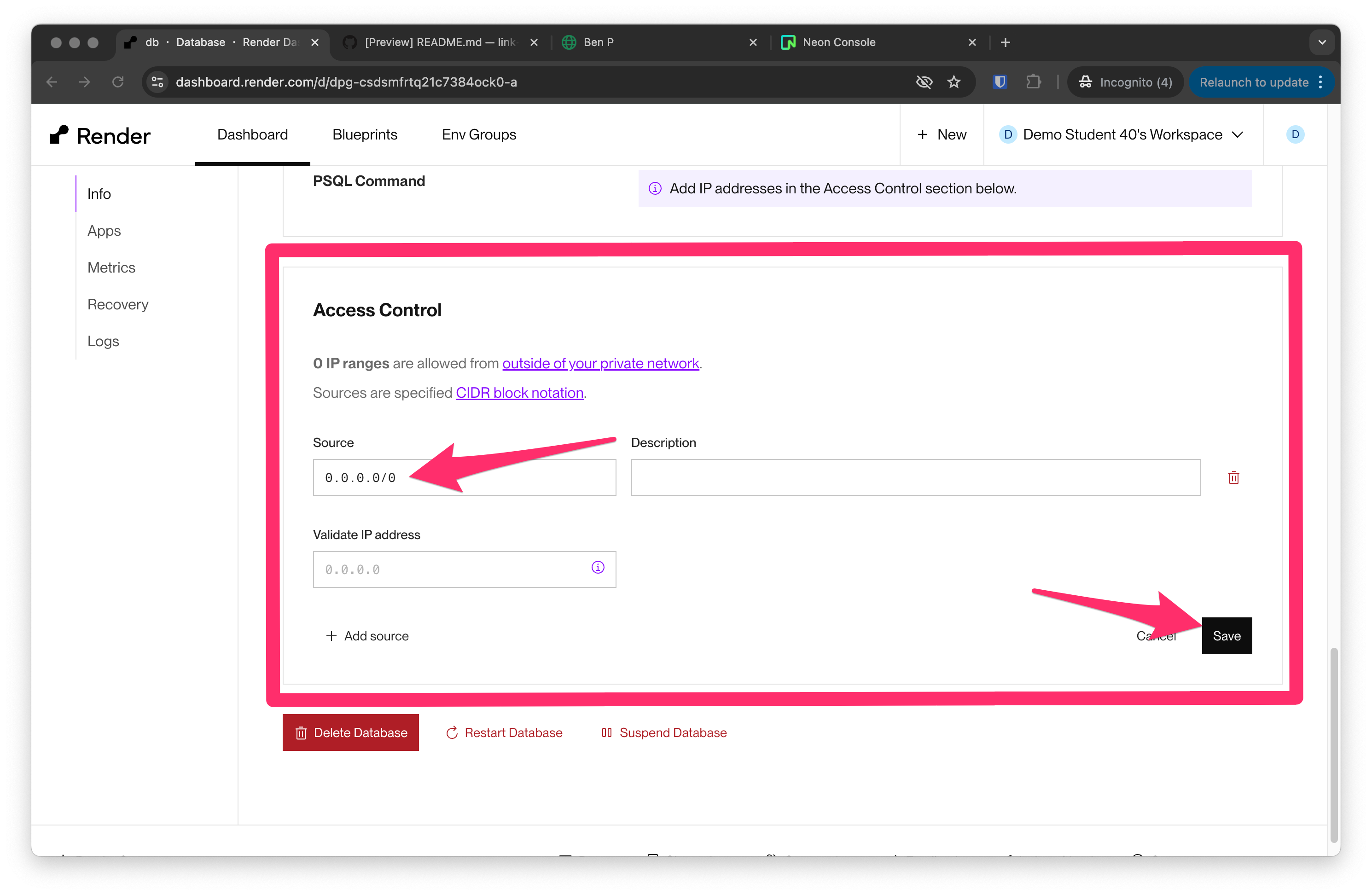 Render database access control