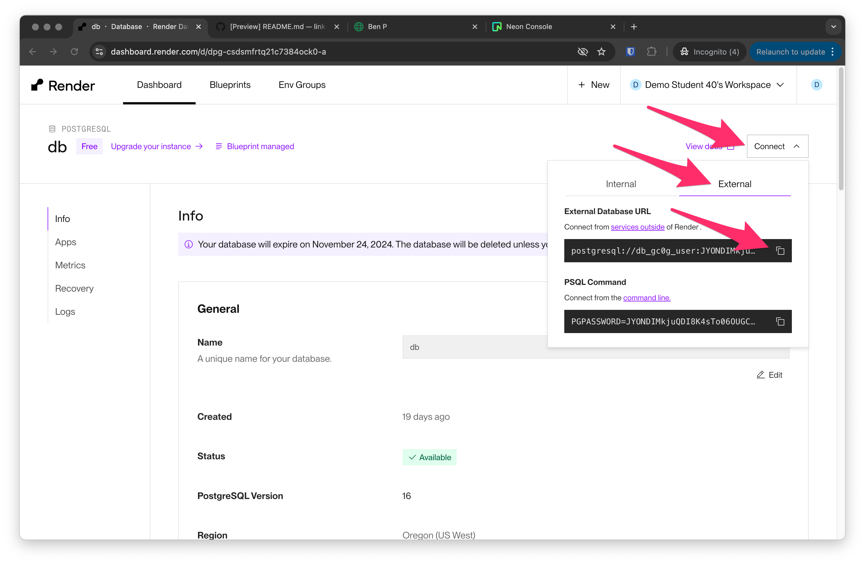 Render database external URL