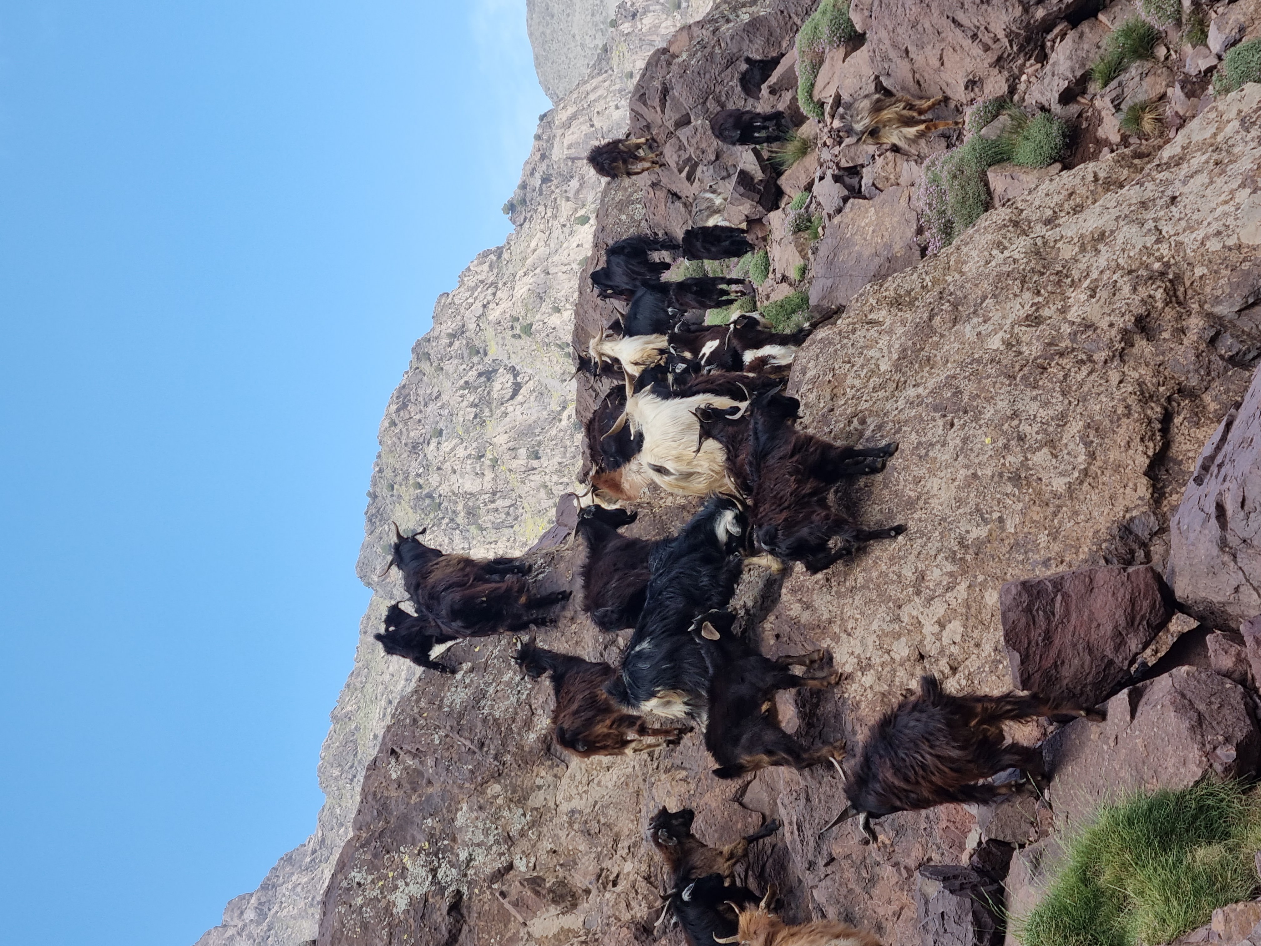 3-Day Berber Villages Circuit: A Journey into the Heart of the Atlas - Image 18