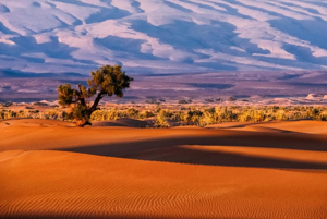 5-Day Sahara Photography Expedition