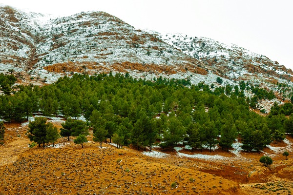 7-Day Middle Atlas Villages & Culture Immersion - Image 1