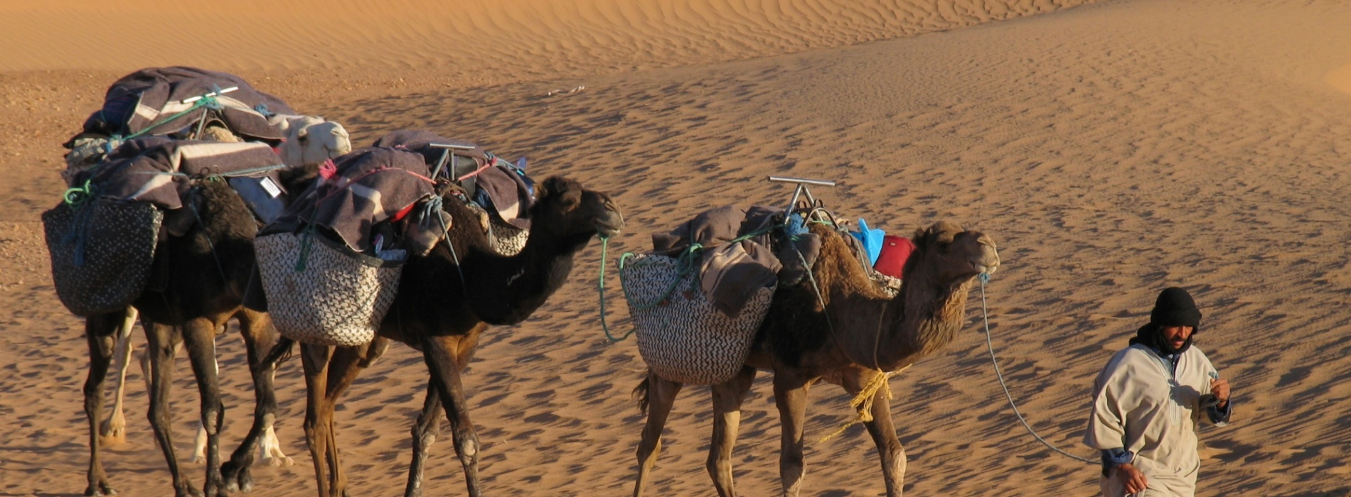 7-Day Epic Sahara Expedition: From Erg Chebbi to Erg Chegaga - Image 5