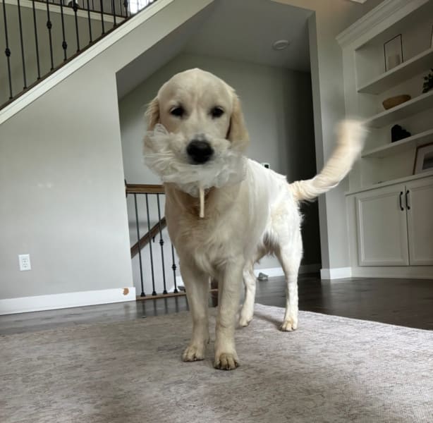 Tucker