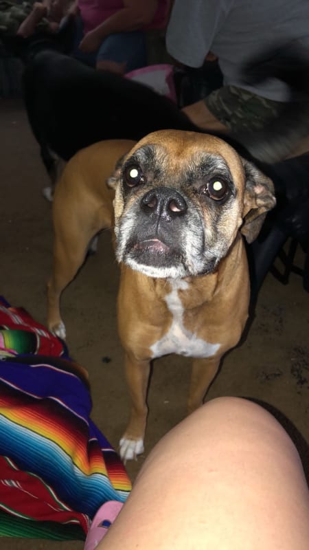 Bailey