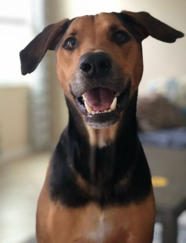 Winston