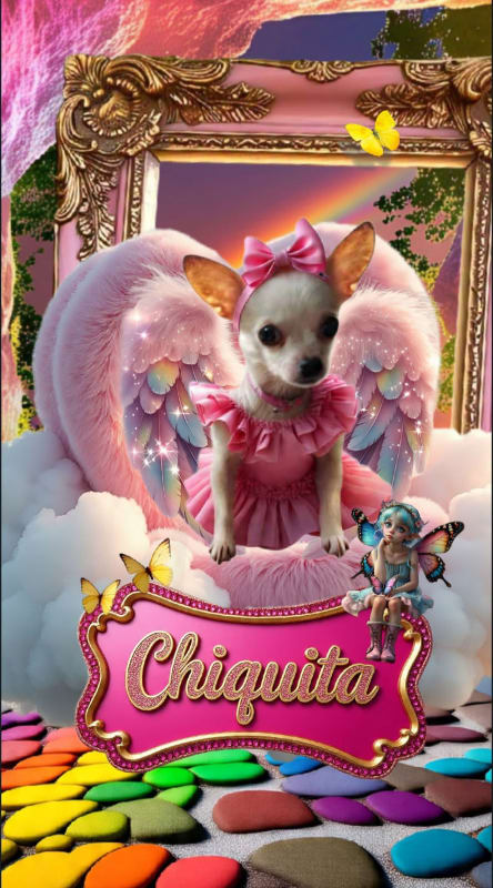 Chiquita  photo 3