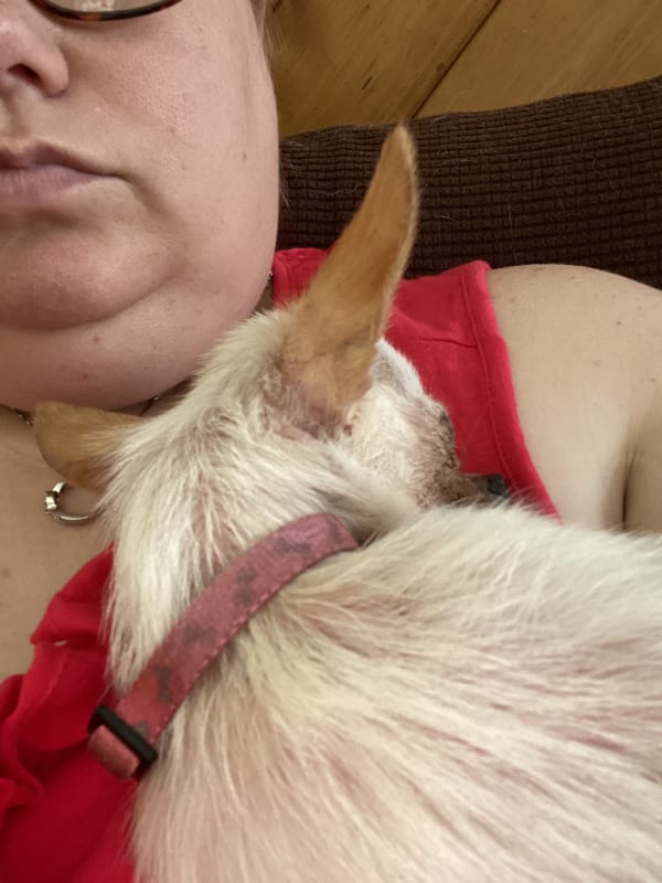 Chiquita  photo 5