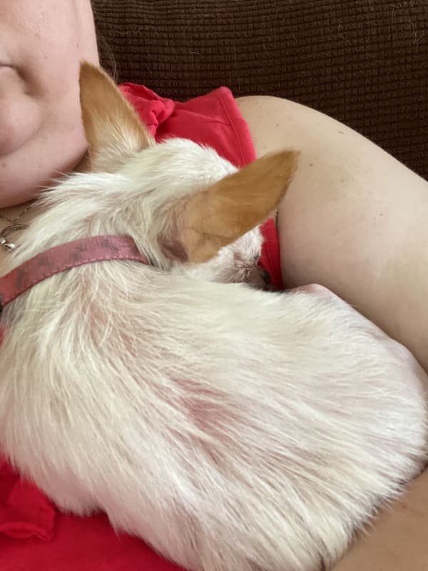 Chiquita  photo 7
