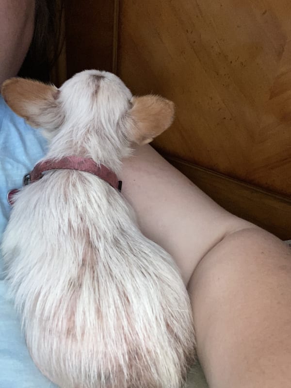 Chiquita  photo 8