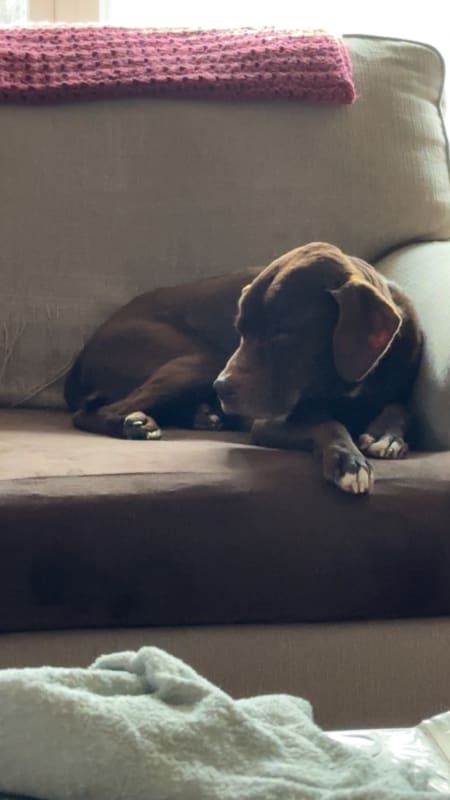 Beau photo 3