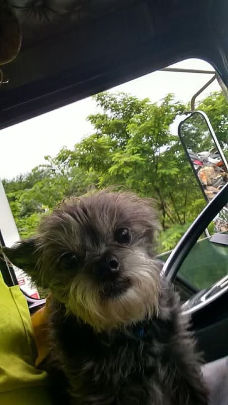 Leoboy photo 4