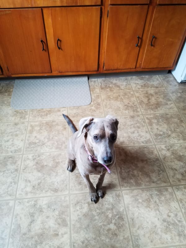 Trixie  photo 3