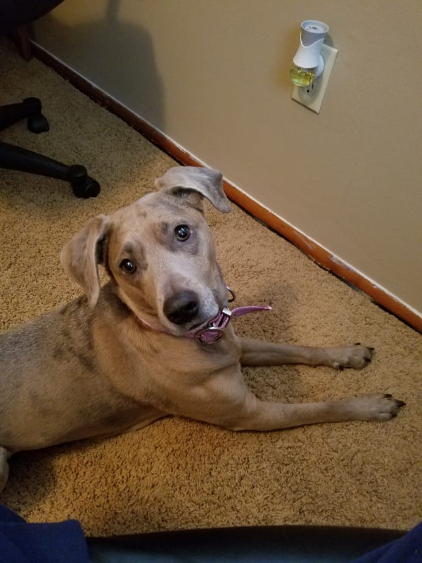 Trixie  photo 7
