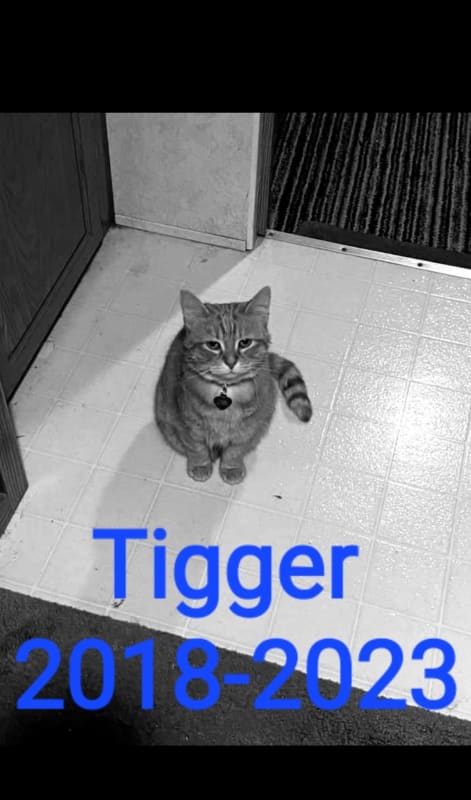 Tigger 