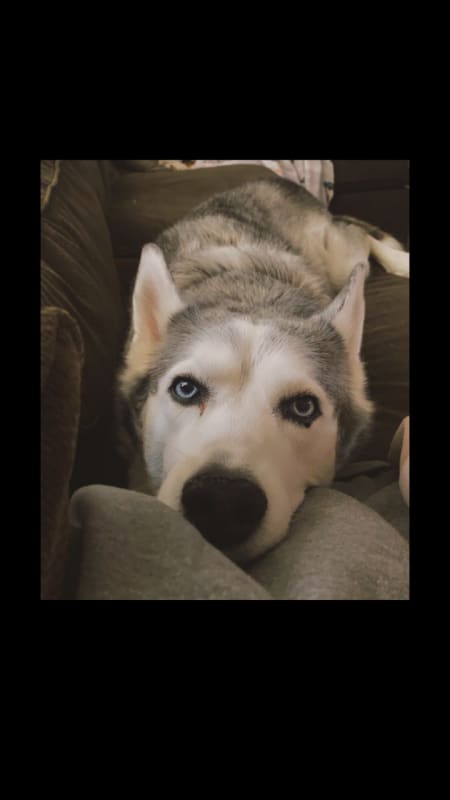 Sophie