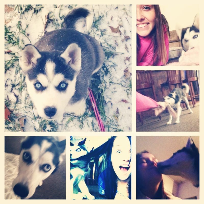 Sophie photo 5