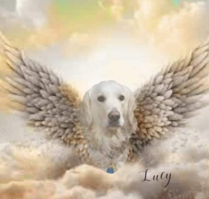 Lucy photo 2