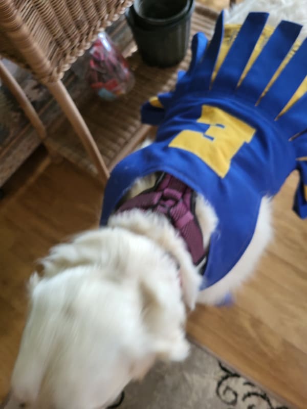 Lucy photo 4