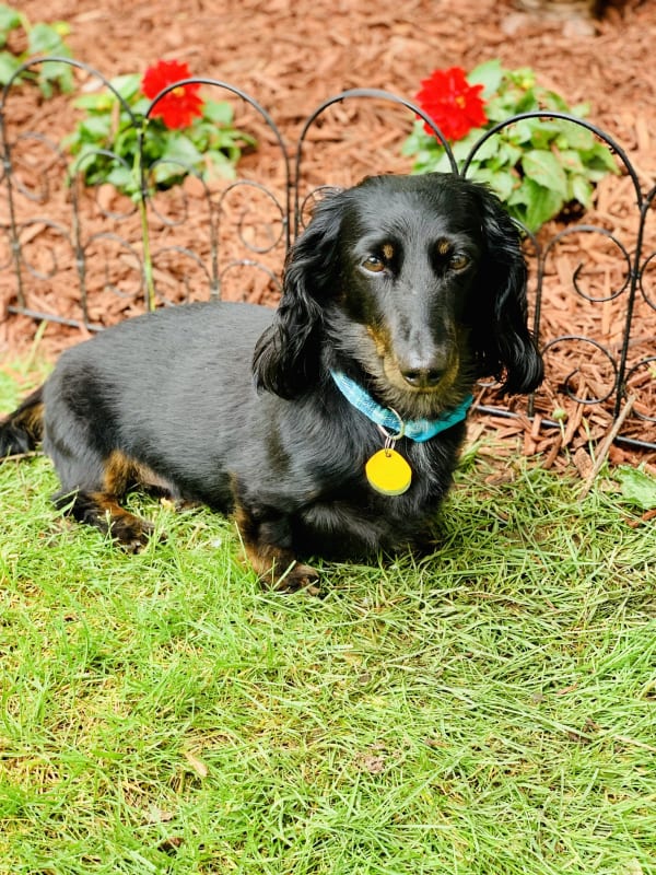 Ozzie photo 2